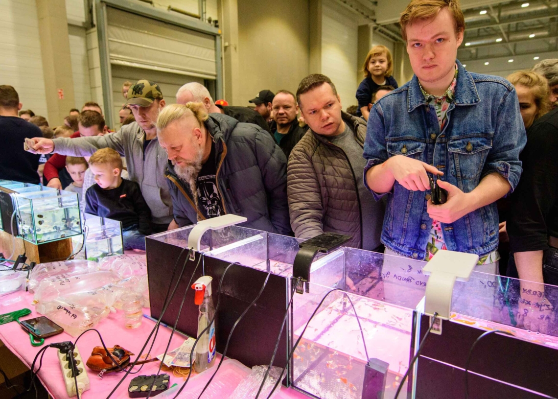 Targi egzotyczne w hali Expo