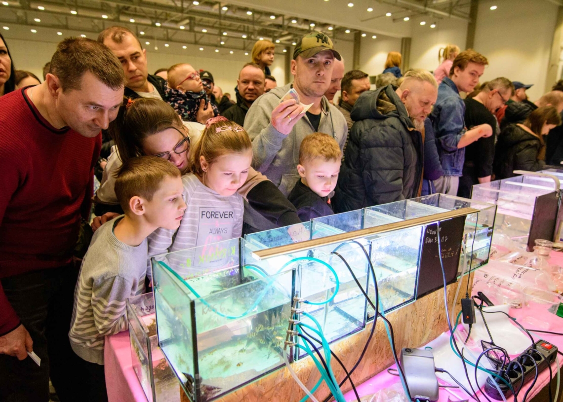 Targi egzotyczne w hali Expo