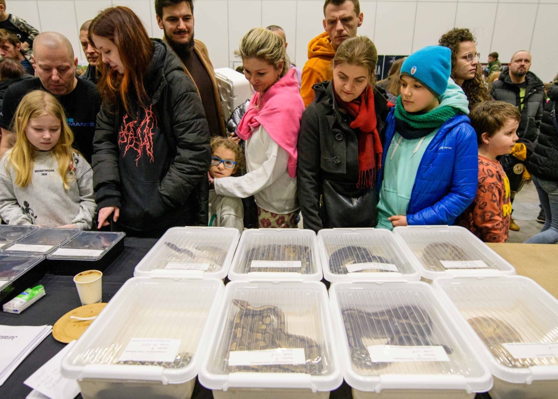 Targi egzotyczne w hali Expo