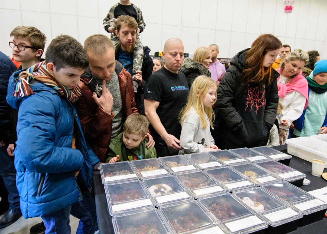 Targi egzotyczne w hali Expo