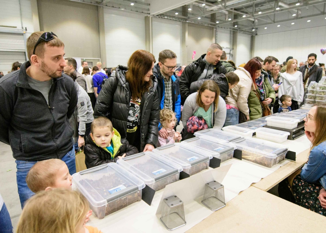 Targi egzotyczne w hali Expo