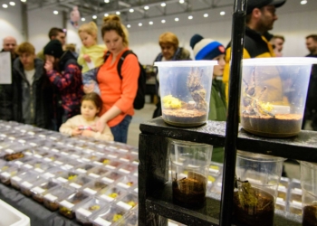 Targi egzotyczne w hali Expo