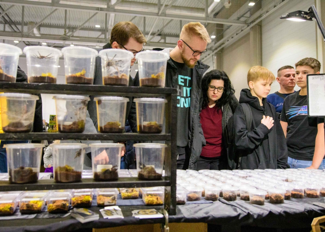 Targi egzotyczne w hali Expo