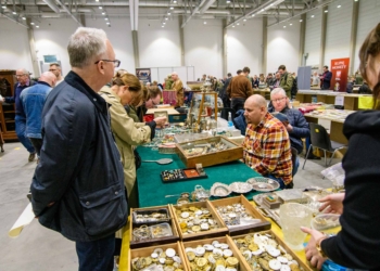 Targi kolekcjonerskie w hali EXPO.60