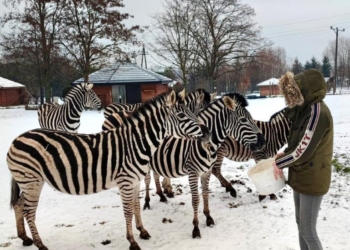 Powiatowym Zespole Szkół w Warcie
