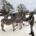 Kierunek weterynaryjno-medyczny od września w Powiatowym Zespole Szkół w Warcie 6 Powiatowym Zespole Szkół w Warcie
