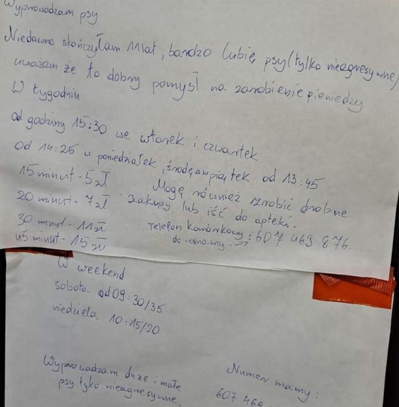Pomocna i przedsiębiorcza 11-latka ze Zduńskiej Woli
