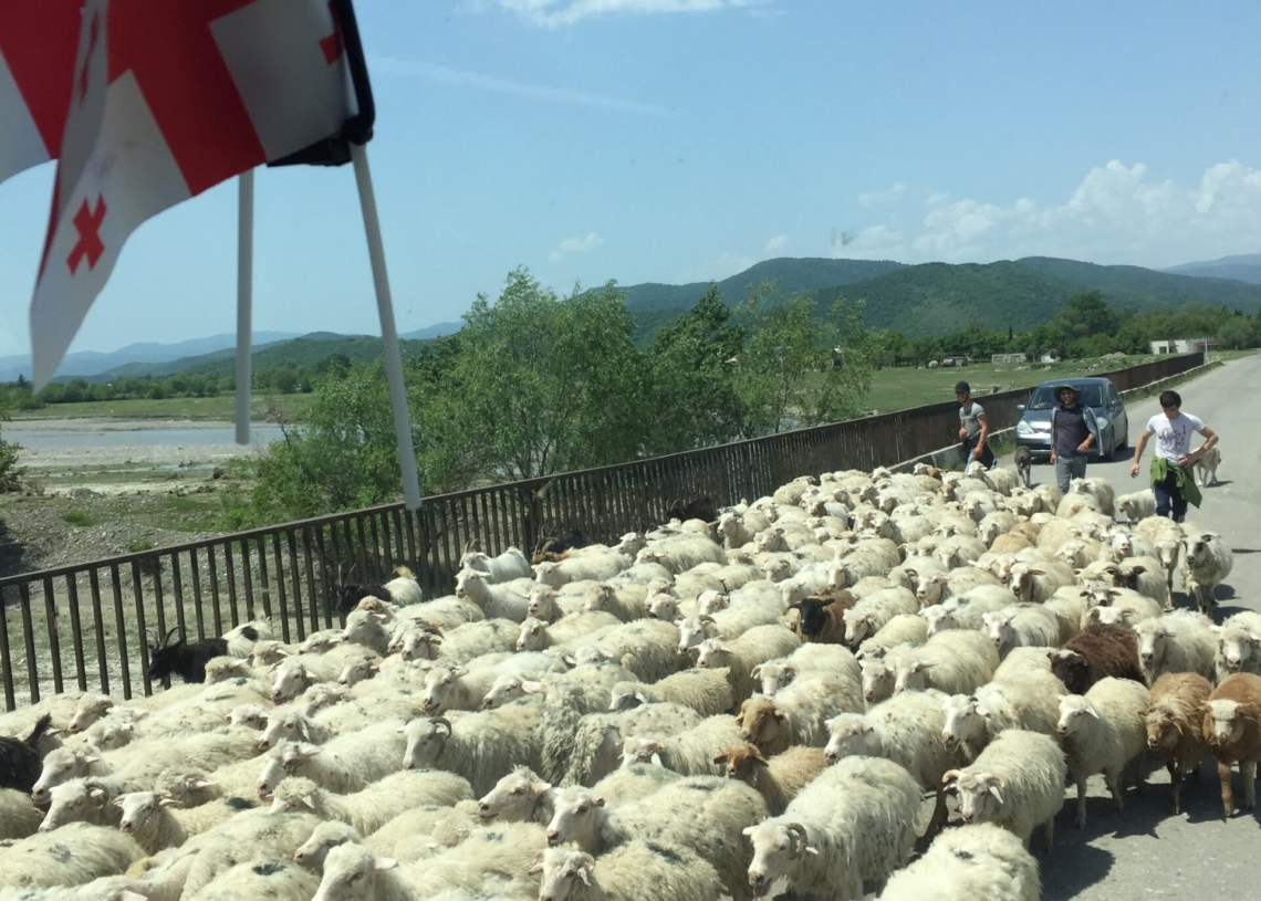 Ania Sabouri, Gruzja sposobem na życie