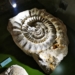 Muzeum Okręgowym w Sieradzu