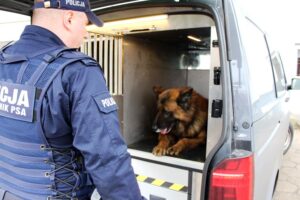 Policjanci z Łowicza mają nowy radiowóz