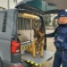 Policjanci z Łowicza mają nowy radiowóz. Mogą nim przewozić psy służbowe 5 Policjanci z Łowicza mają nowy radiowóz