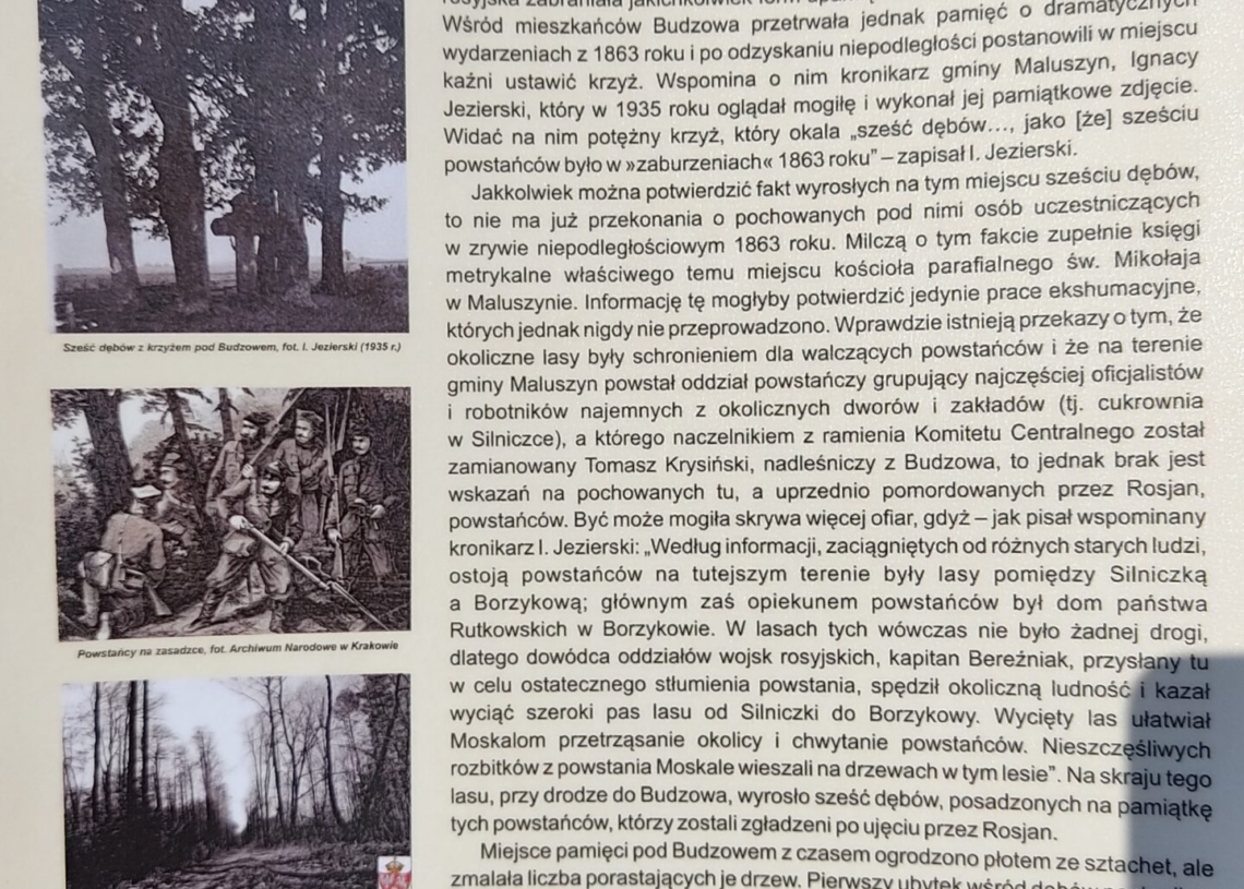 Dęby Pamięci zasadzono w Budzowie