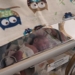 W Centrum Zdrowia Matki Polki w Łodzi na świat przyszły trojaczki