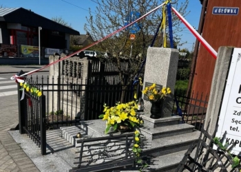 kierowca karawanu