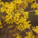 Ogród Botaniczny w Łodzi otwarty. Pora na pierwsze wiosenne spacery 5 Ogród Botaniczny
