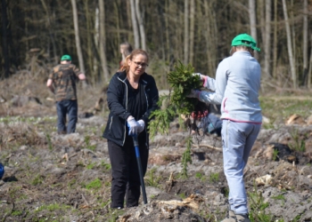 Grupa PGE posadzi 70 tys. drzew w ramach 23. edycji „Lasów Pełnych Energii”