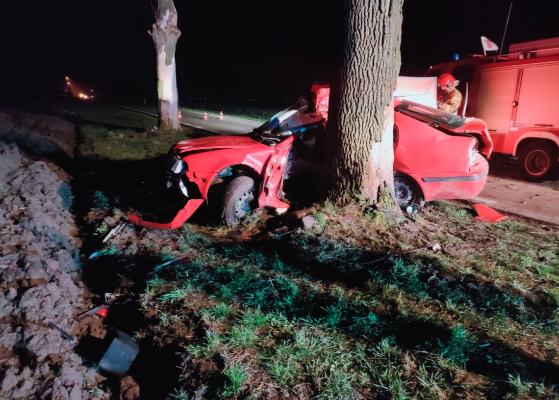Śmiertelny wypadek w powiecie Łęczyckim. Samochód uderzył w drzewo 1 Wypadek w Orszewicach