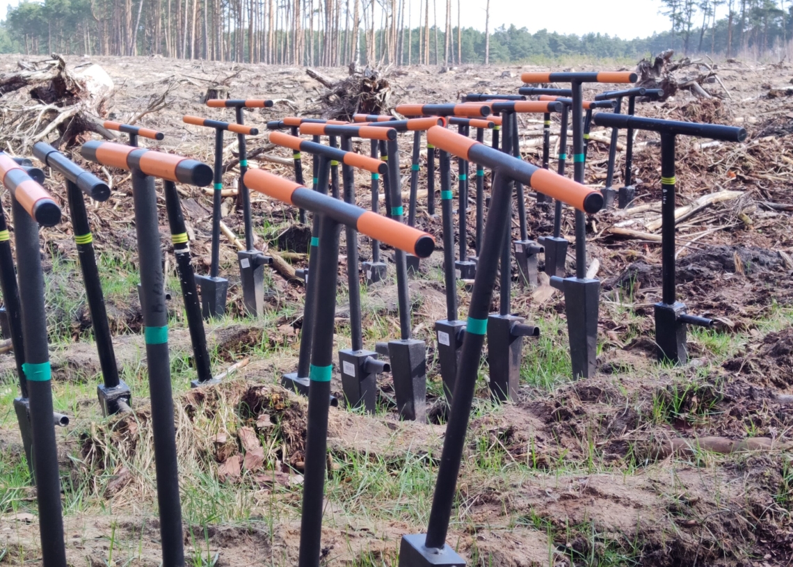 Uczniowie szkół z Kleszczowa i Bełchatowa sadzili drzewa w Klukach. To jedna z odsłon akcji „Lasy Pełne Energii” [ZDJĘCIA]