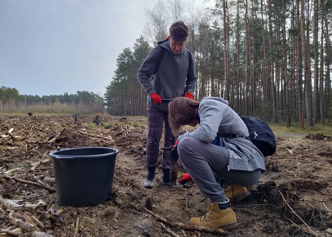 Lasy Pełne Energii