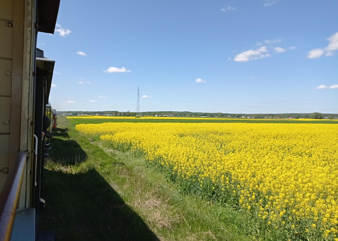 Rogowska wąskotorówka rozpoczyna sezon w najbliższą niedzielę (23 kwietnia)
