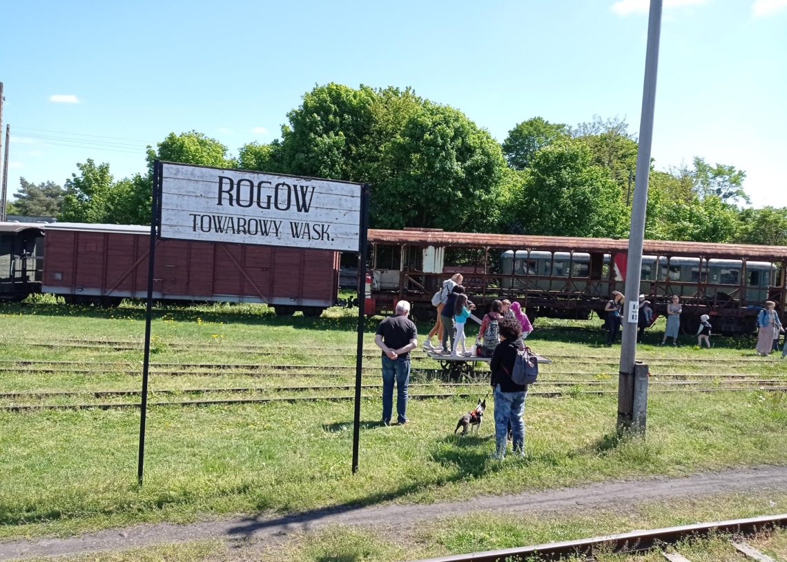 rogowska wąskotorówka