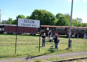 rogowska wąskotorówka