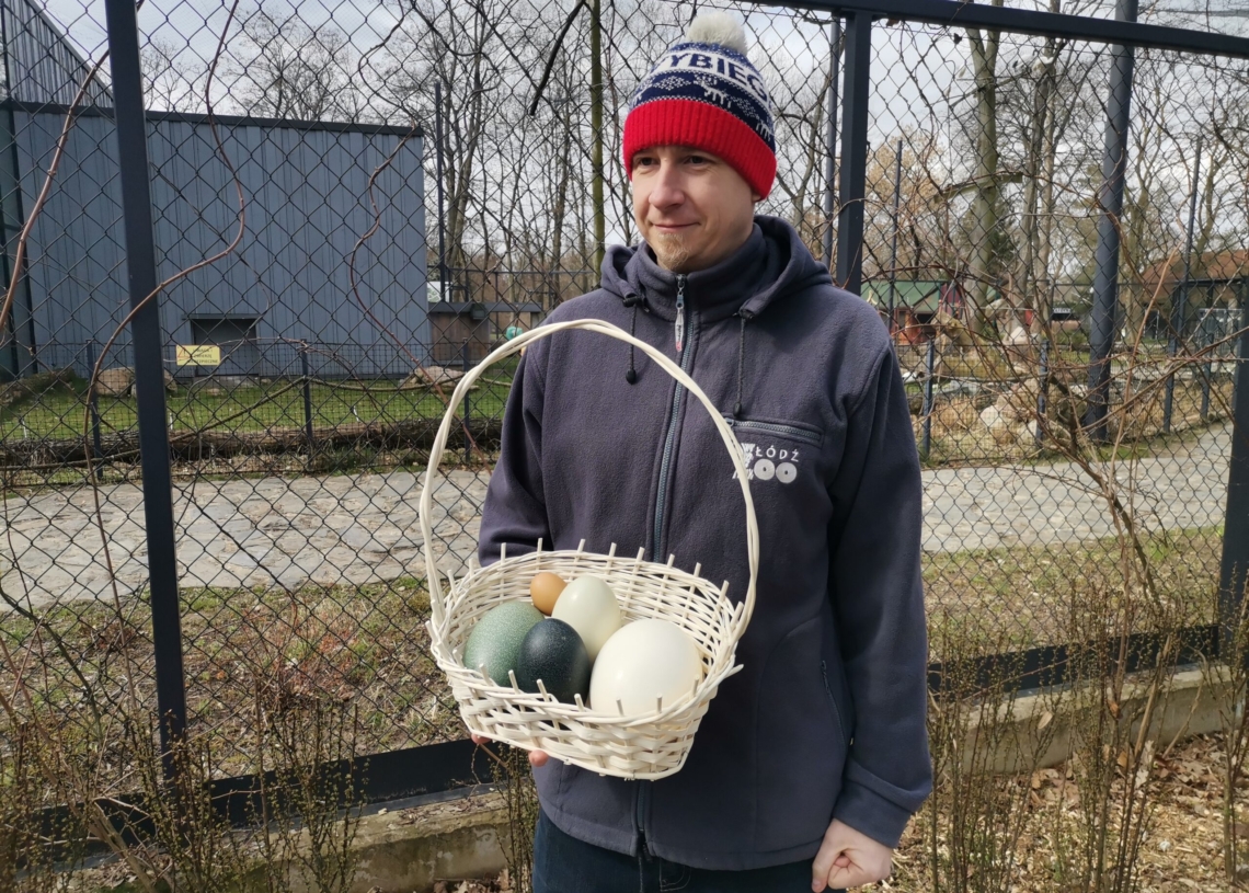 W łódzkim ZOO już część gatunków zwierząt wysiaduje jaja