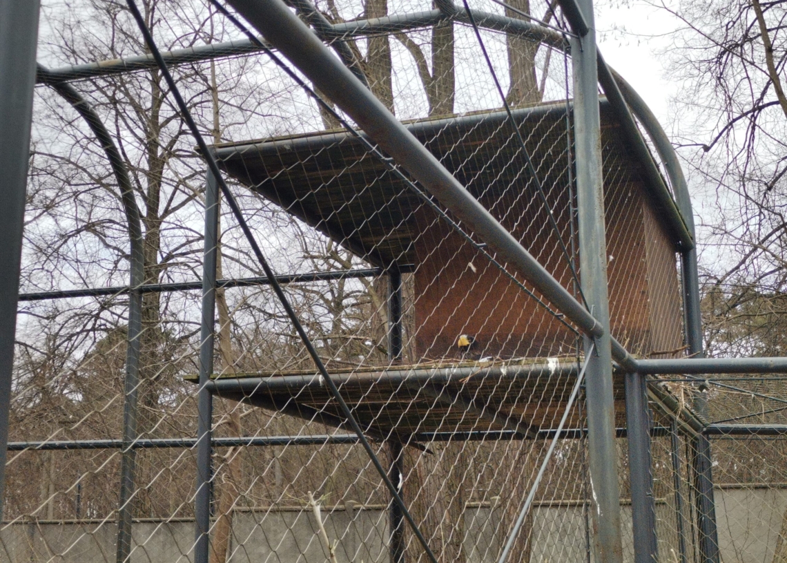 W łódzkim ZOO już część gatunków zwierząt wysiaduje jaja