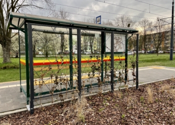 zielone przystanki