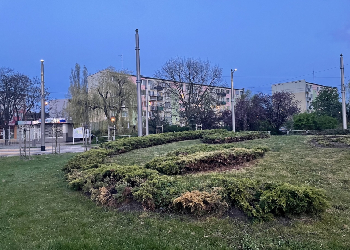 Modernizacja trasy tramwajowej w Pabianicach. Jak postępują prace? [ZDJĘCIA]
