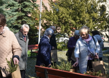 Drzewka dla wiernych