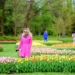 Jak będzie się rozwijał Ogród Botaniczny w Łodzi? Miasto uruchomiło internetowy formularz dla mieszkańców 7 Zakwitly tulipay w ogrodzie botanicznym.27