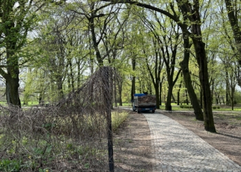 łódzkich parkach
