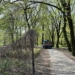 łódzkich parkach