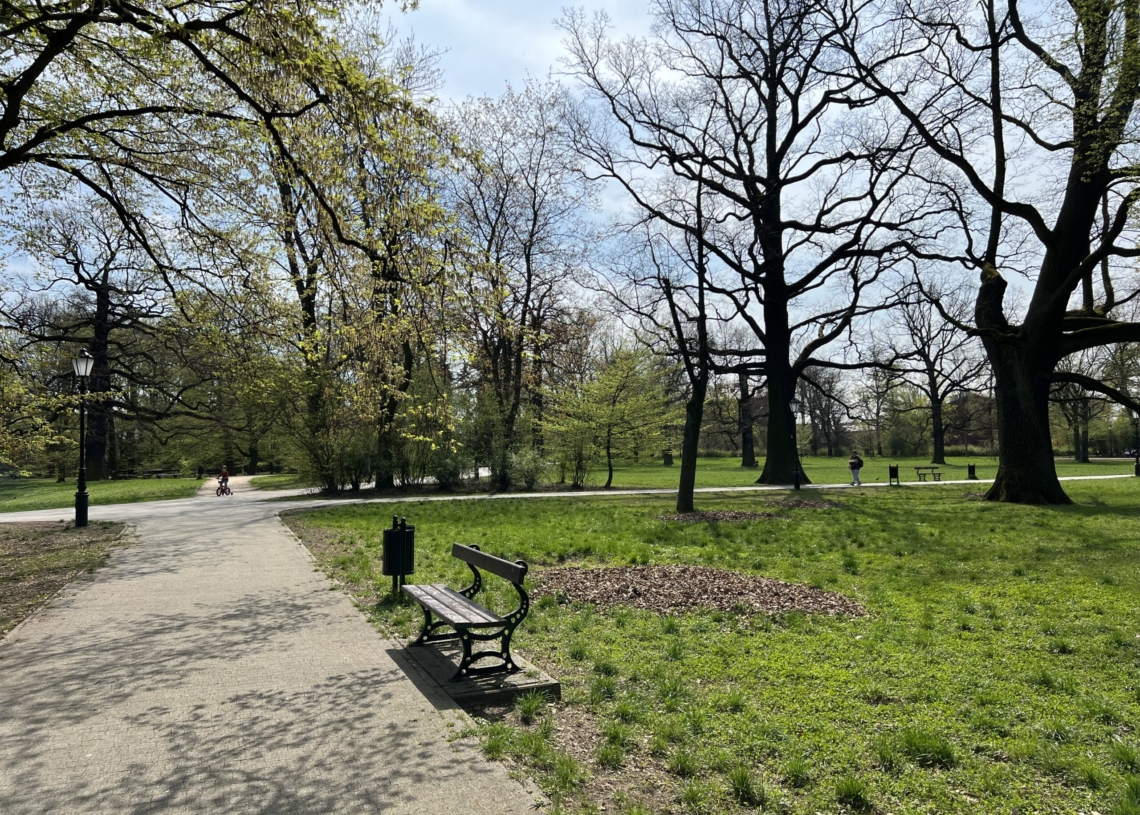Porządki w 24 łódzkich parkach [ZDJĘCIA]