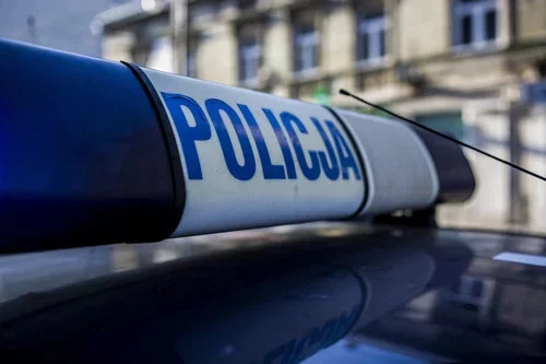 30-letni mieszkaniec Wielunia zdemolował auto i dokonał kradzieży 1 Pies pogryzł dziewczynkę