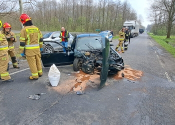 Wypadek w Dąbrowie Widawskiej