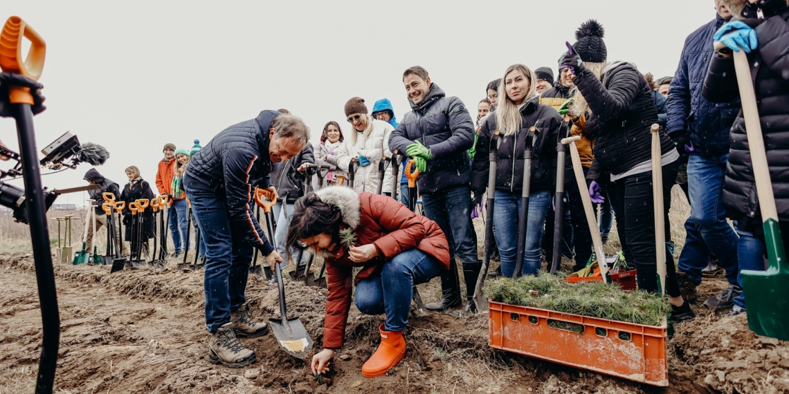 LAS ROSSMANNA – dodatkowe hektary drzew w Łodzi i województwie