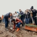 LAS ROSSMANNA - dodatkowe hektary drzew w Łodzi i województwie 7 LAS ROSSMANNA – dodatkowe hektary drzew w Łodzi i województwie