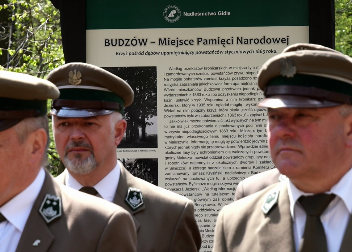 Dęby Pamięci zasadzono w Budzowie