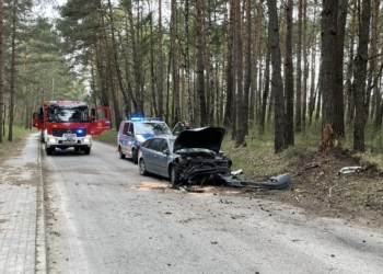Wypadek w Działoszynie. Kierowca uderzył w drzewo i uciekł z miejsca zdarzenia 9 Wypadek w Działoszynie