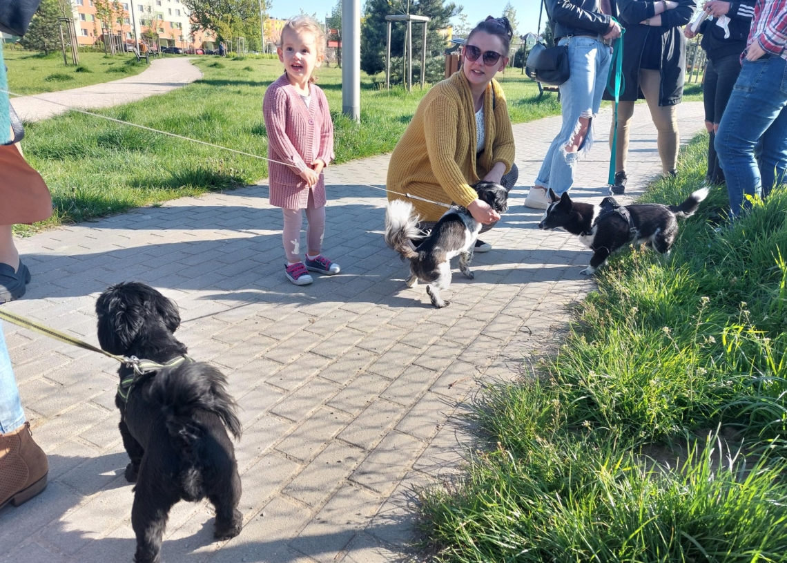 Sieradz: Przygotowano petycję ws. wybiegu z torem przeszkód dla psów