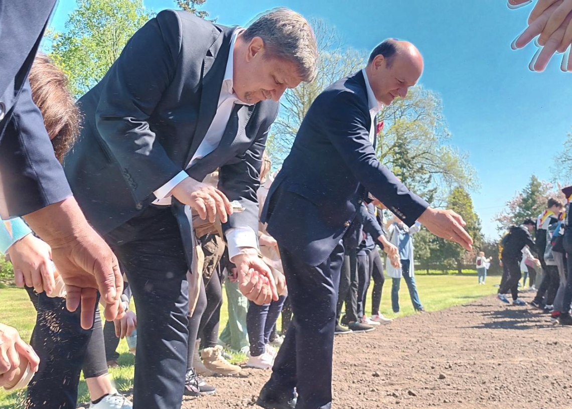 Łódzkie sieje łąkę kwietną. Czy uda się ustanowić Rekord Polski?