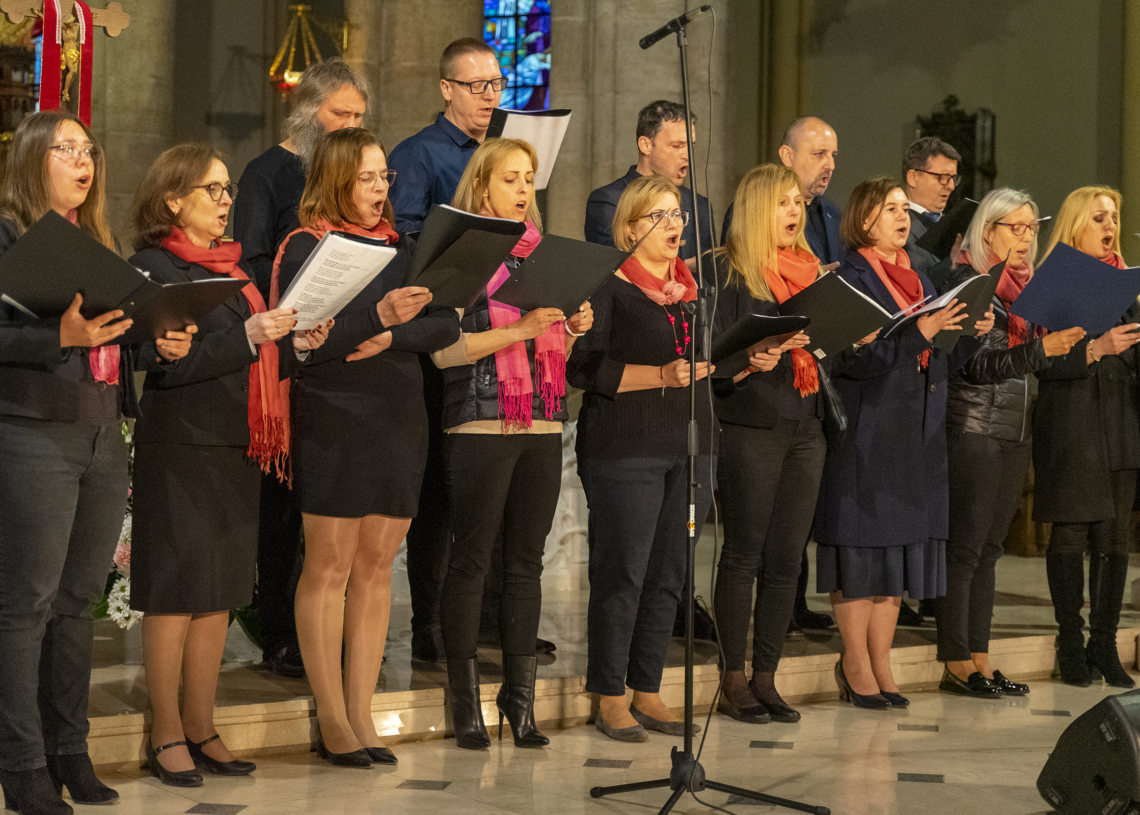 Koncert papieski w łódzkiej archikatedrze [ZDJĘCIA, WIDEO]