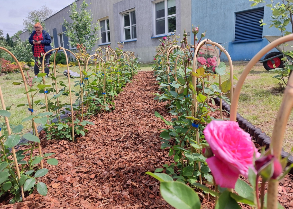 sieradzkiego hospicjum