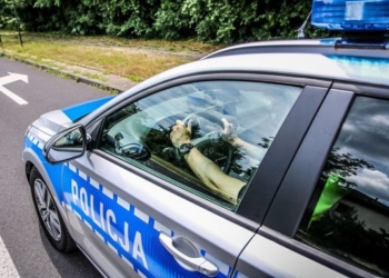 Majówka krótsza a wypadków więcej. Policja miała pełne ręce roboty