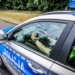 Majówka krótsza a wypadków więcej. Policja miała pełne ręce roboty