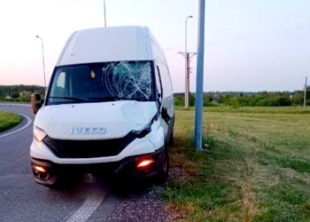 Powiat rawski: Kolizja z łosiem na S8