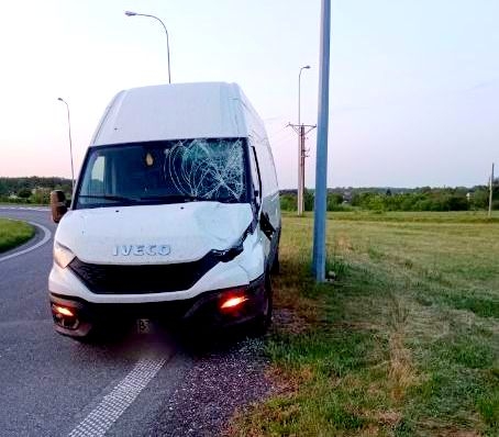 Powiat rawski: Kolizja z łosiem na S8