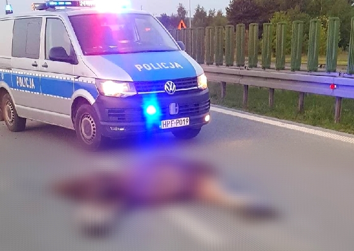 Powiat rawski: Kolizja z łosiem na S8